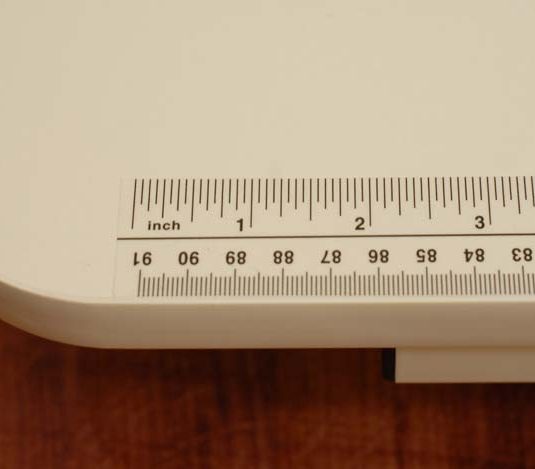 Gidget-611-gidget2-ruler-700w-469t-535×469